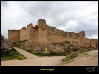 Castillo de Ayyub
 