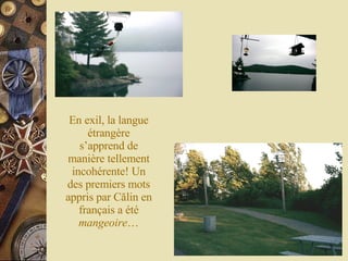 En exil, la langue étrangère s’apprend de manière tellement incohérente! Un des premiers mots appris par C ălin en français a été  mangeoire … 