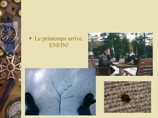 Le printemps arrive. ENFIN! 