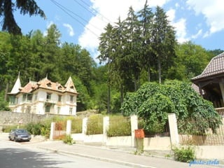 photo-stelaphoto-stela
 