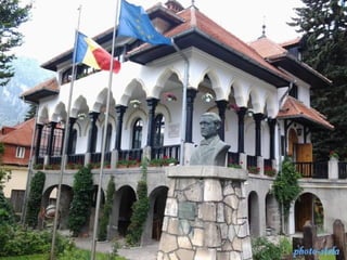 photo-stelaphoto-stela
 