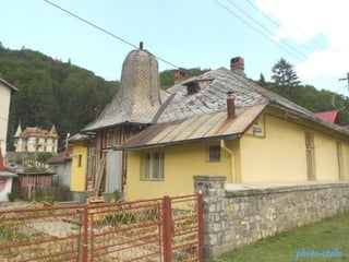 photo-stelaphoto-stela
 