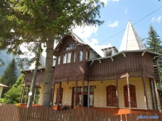 photo-stelaphoto-stela
 