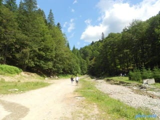 photo-stelaphoto-stela
 