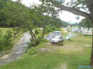 photo-stelaphoto-stela
 