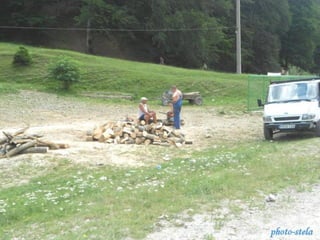 photo-stelaphoto-stela
 