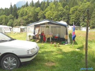 photo-stelaphoto-stela
 