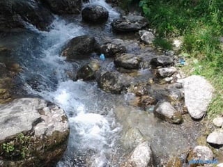 photo-stelaphoto-stela
 