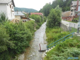 photo-stelaphoto-stela
 