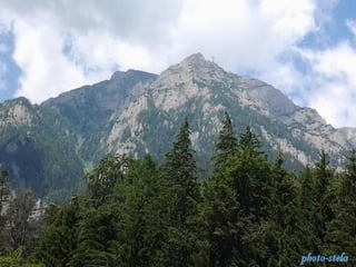 photo-stelaphoto-stela
 