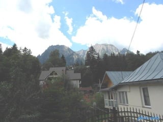 photo-stelaphoto-stela
 