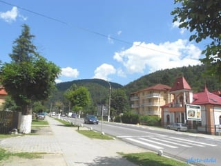 photo-stelaphoto-stela
 