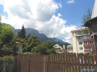 photo-stelaphoto-stela
 