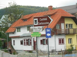 photo-stelaphoto-stela
 