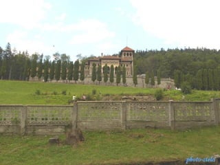 photo-stelaphoto-stela
 