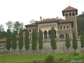 photo-stelaphoto-stela
 