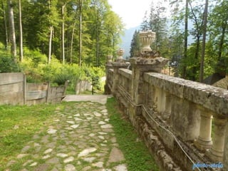 photo-stelaphoto-stela
 