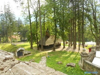 photo-stelaphoto-stela
 