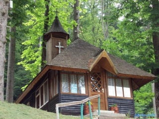 photo-stelaphoto-stela
 