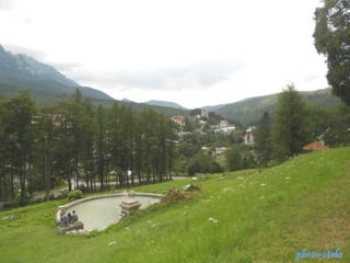 photo-stelaphoto-stela
 