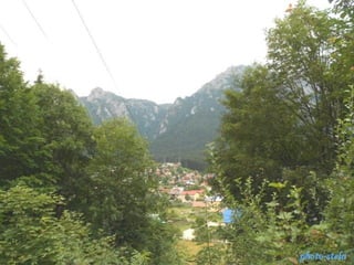 photo-stelaphoto-stela
 