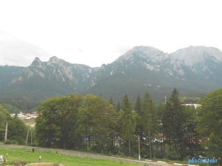 photo-stelaphoto-stela
 