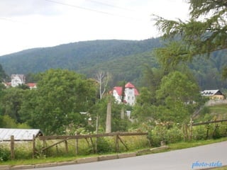 photo-stelaphoto-stela
 