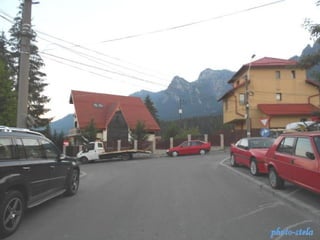 photo-stelaphoto-stela
 