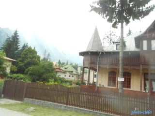 photo-stelaphoto-stela
 