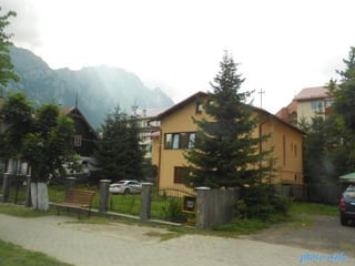 photo-stelaphoto-stela
 