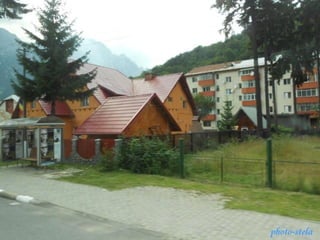 photo-stelaphoto-stela
 