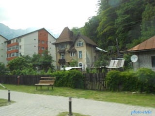 photo-stelaphoto-stela
 