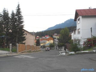 photo-stelaphoto-stela
 