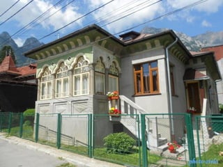 photo-stelaphoto-stela
 