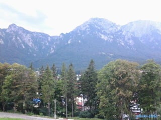 photo-stelaphoto-stela
 