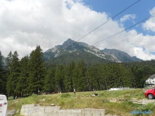 photo-stelaphoto-stela
 