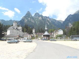 photo-stelaphoto-stela
 