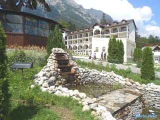 photo-stelaphoto-stela
 