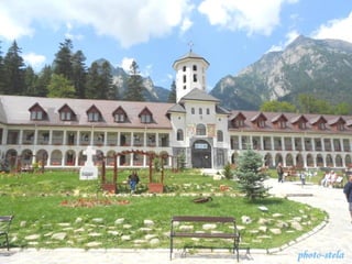 photo-stelaphoto-stela
 