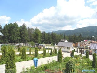 photo-stelaphoto-stela
 