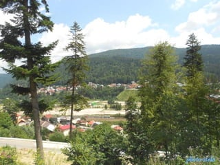 photo-stelaphoto-stela
 