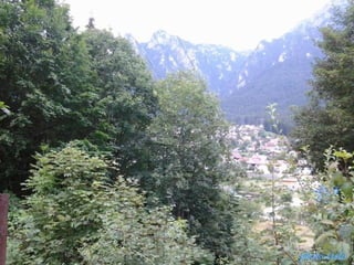 photo-stelaphoto-stela
 