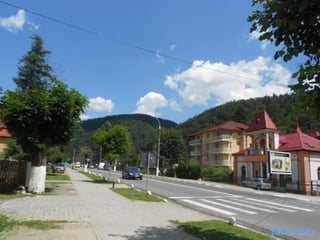 photo-stelaphoto-stela
 