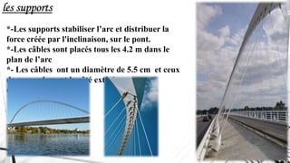 les supports
*-Les supports stabiliser l’arc et distribuer la
force créée par l'inclinaison, sur le pont.
*-Les câbles sont placés tous les 4.2 m dans le
plan de l’arc
*- Les câbles ont un diamètre de 5.5 cm et ceux
de raccordement le côté extérieur ont un
diamètre de 3.6 cm
 