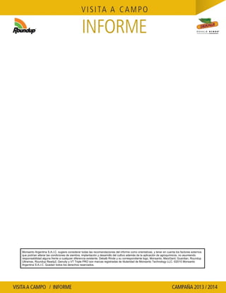 Agrotestigo-Maiz DEKALB-Campaña 1314-Informe Floracion-CALCAGNI GERARDO JOSE-Nº 91