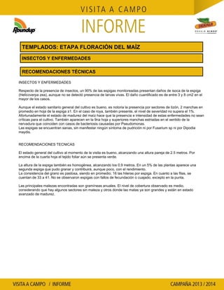 Agrotestigo-Maiz DEKALB-Campaña 1314-Informe Floracion-CALCAGNI GERARDO JOSE-Nº 91