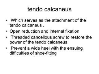 tendo calcaneus Which serves as the attachment of the tendo calcaneus . Open reduction and internal fixation  Threaded cancellous screw to restore the power of the tendo calcaneus Prevent a wide heel with the ensuing difficulties of shoe-fitting  