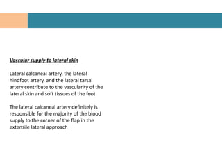 Vascular supply to lateral skin

Lateral calcaneal artery, the lateral
hindfoot artery, and the lateral tarsal
artery contribute to the vascularity of the
lateral skin and soft tissues of the foot.

The lateral calcaneal artery definitely is
responsible for the majority of the blood
supply to the corner of the flap in the
extensile lateral approach
 