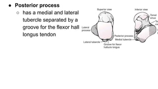 FRACTURES of CALCANEUS AND TALUS | PPTX