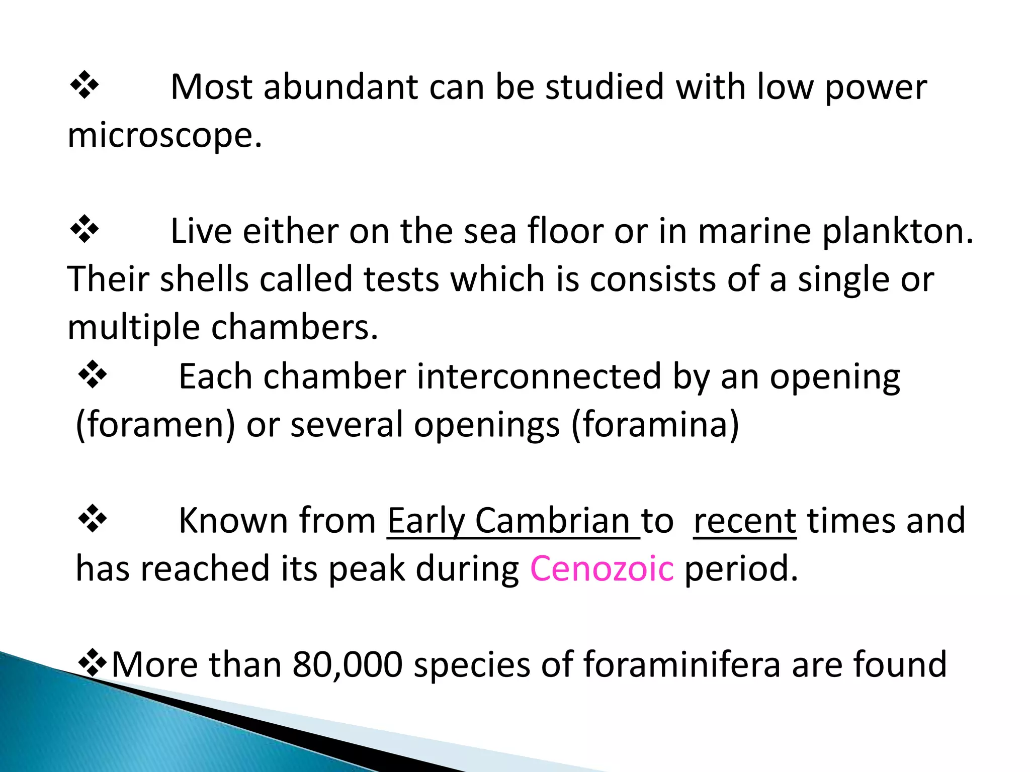  Each chamber interconnected by an opening
(foramen) or several openings (foramina)
 Known from Early Cambrian to recent times and
has reached its peak during Cenozoic period.
More than 80,000 species of foraminifera are found
 Most abundant can be studied with low power
microscope.
 Live either on the sea floor or in marine plankton.
Their shells called tests which is consists of a single or
multiple chambers.
 